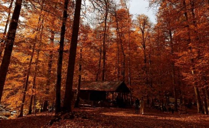 Yedigöller Milli Parkı ziyaretçi akınına uğradı