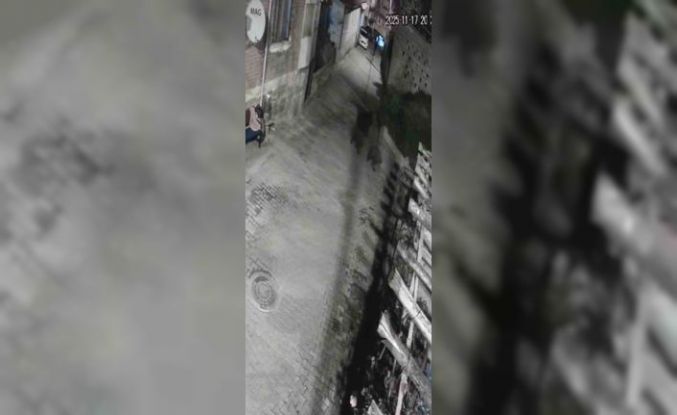 Yerleşim alanına inen ayılar köy sakininden korkup kaçtı