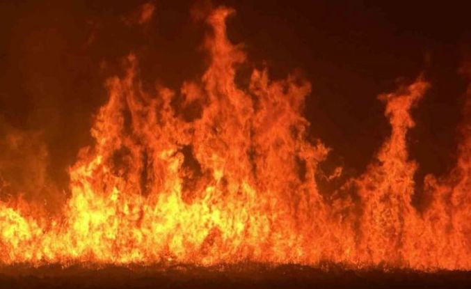 Yüksekova’da kuş cenneti Nehil Sazlığı’ndaki yangın yerleşim yerlerini tehdit ediyor