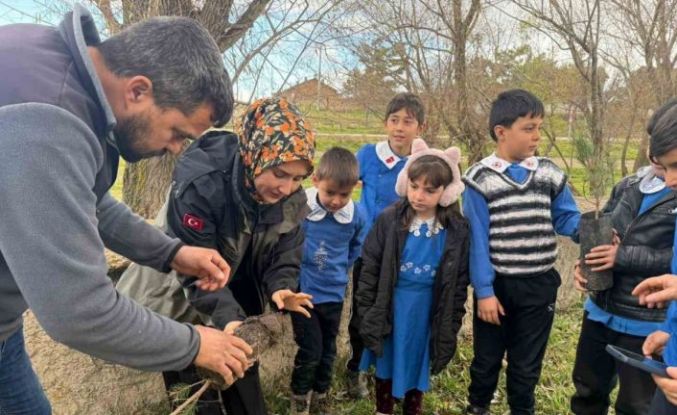 Altıntaş’ta öğrenciler fidanları toprakla buluşturdu