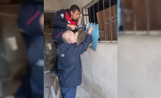 Antakya’da kedi kurtarma operasyonu