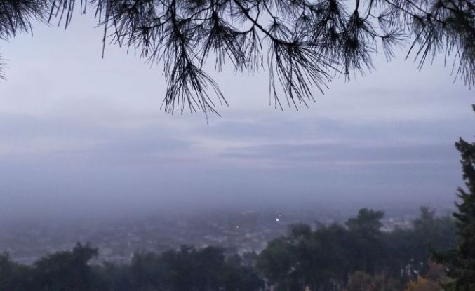 Aydın’da puslu sabah manzaraları mest etti