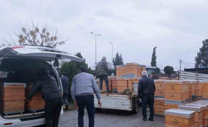 Babaeski’de üreticilere arı kovanı dağıtıldı