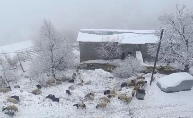 Bahçesaray’da kar yağışı