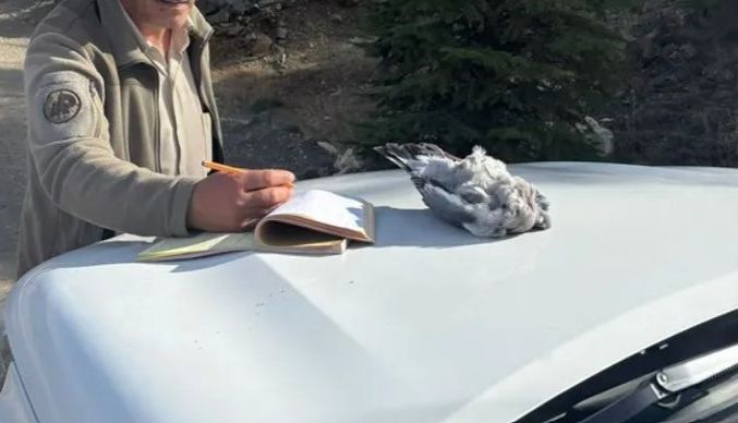 Burdur’da kaçak avcılar ekiplere yakalandı