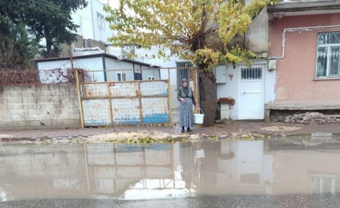 Caddede biriken sular evleri bastı