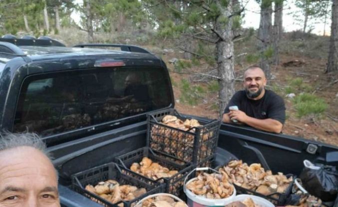 Çameli’de cintar bereketi