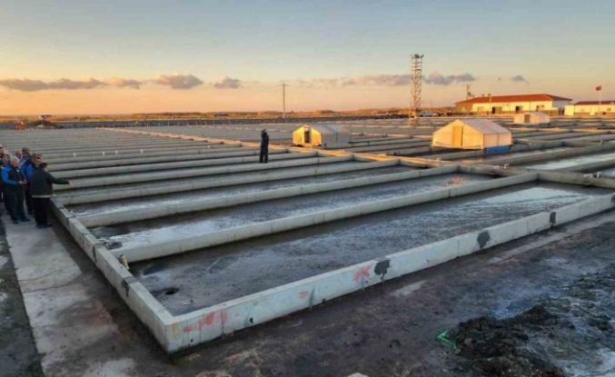 Çanakkale’deki deniz solucanları yetiştiriciliği tesisi sektörde tek