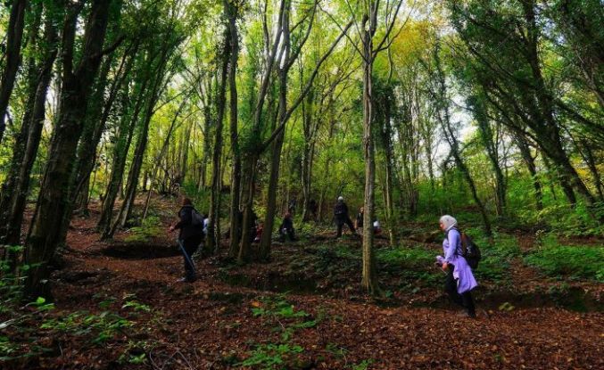 Doğaseverler Sakarya’nın eşsiz doğasını keşfetti
