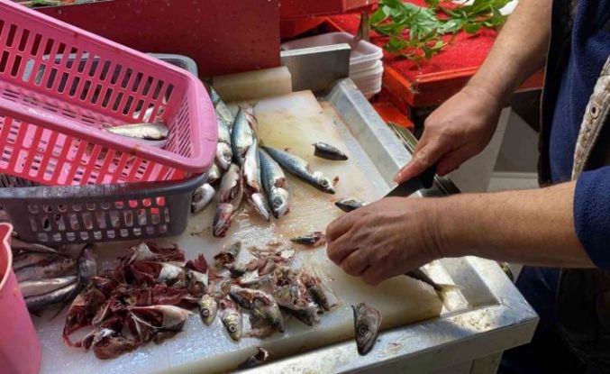 Doğru bilinen yanlışı uzmanı açıkladı: "Gözüne bakıp tazeliğini anlarım diyen yalan söyler"