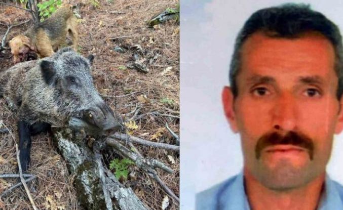 Domuz saldırısı sonucu hayatını kaybetti