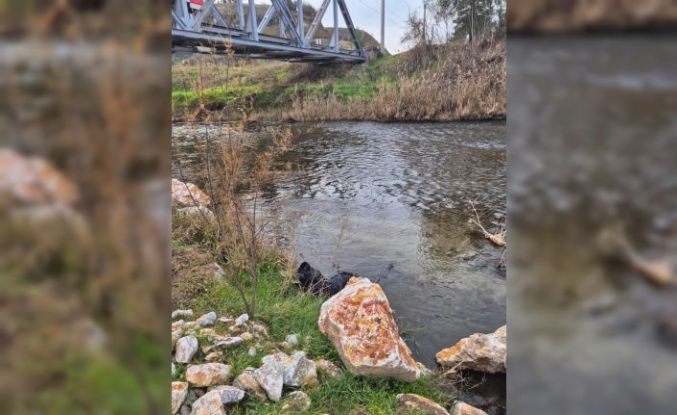 Ege Ekspresi’nin çarptığı yaya hayatını kaybetti