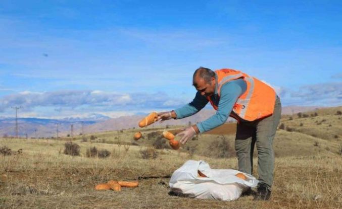 Elaızığ’da doğaya yem bırakıldı