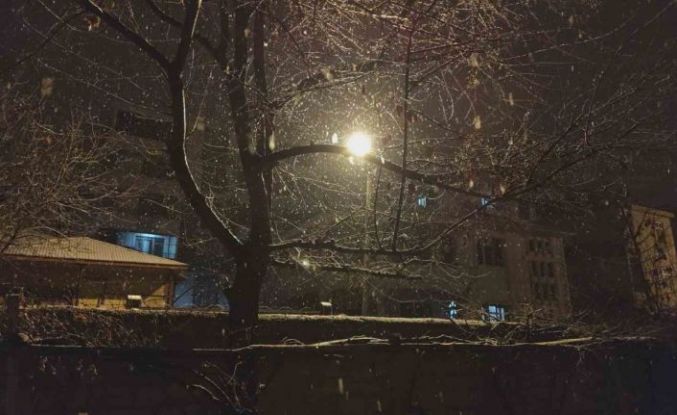 Erciş’te kar yağışı