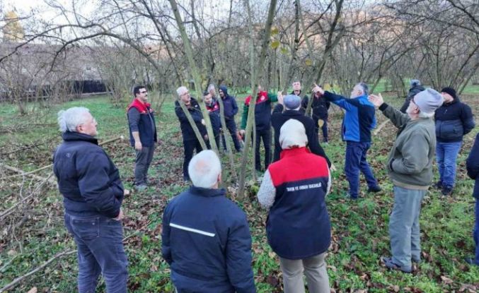 Fındıkta verim ve kalite artırılıyor