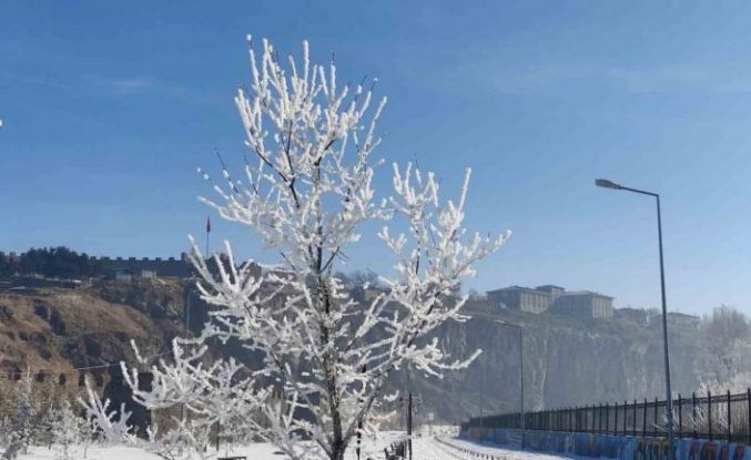Göle eksi 16 dereceyi gördü, ağaçlar kırağı tuttu