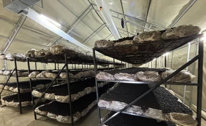 İlçenin ekonomisine yeni soluk