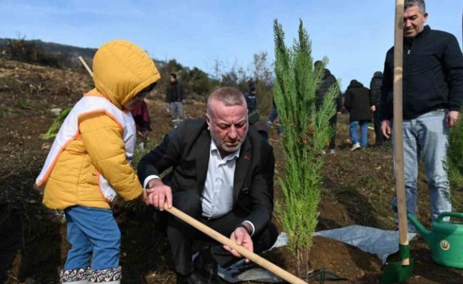 Karacabey’de yangın sonrası ilk fidanlar toprakla buluştu