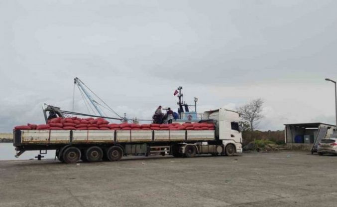 Karadeniz’den çıkartılan beyaz kum midyesine sıkı denetim