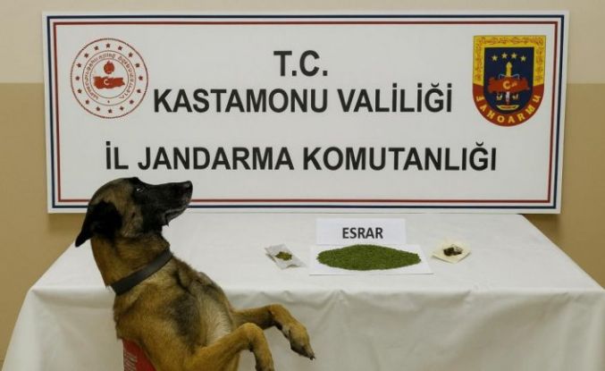 Kastamonu’da uyuşturucu operasyonu: 1 tutuklama