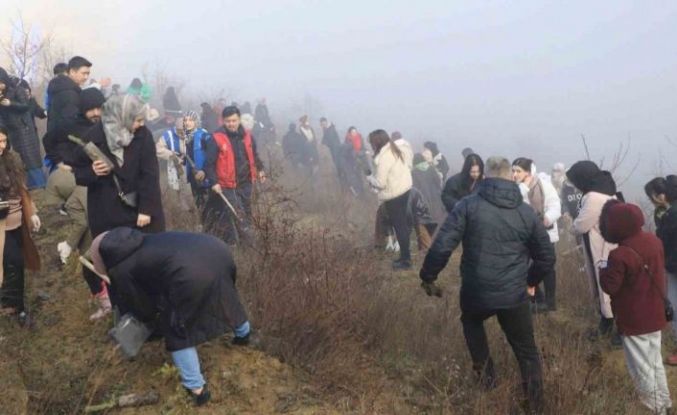 KBÜ’lü öğrenciler 500 çam fıstığı fidanını toprakla buluşturdu