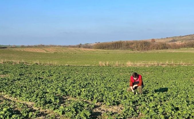 Kırklareli’nde kanola gelişimi inceleniyor