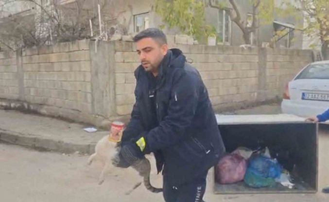 Konserve kutusuna sıkışan kedi kurtarıldı