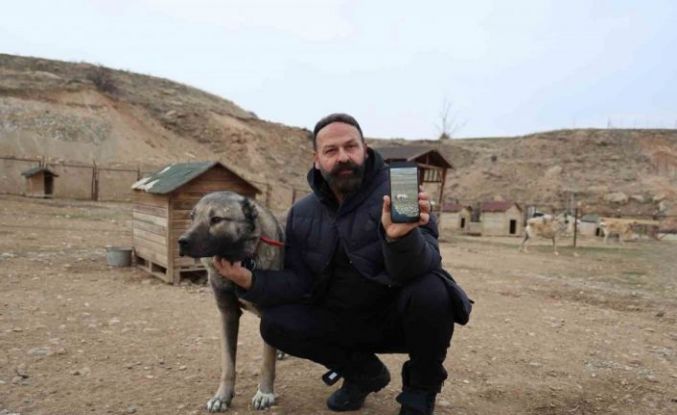 Kurtlar yerleşim yerlerine dadandı, uzmanı çare olarak Kangalları gösterdi