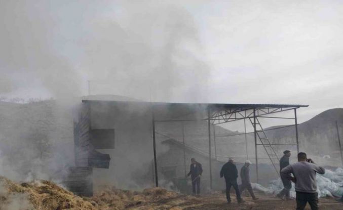 Malatya’da besi çiftliğinde yangın