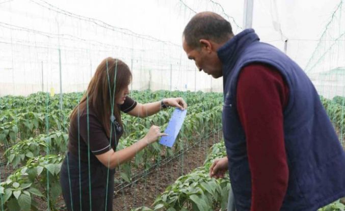 Mersin’de örtü altı üreticiye sera ipi ve tuzak desteği