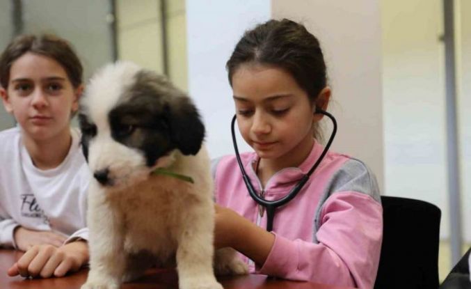 Minik veterinerler görev başında