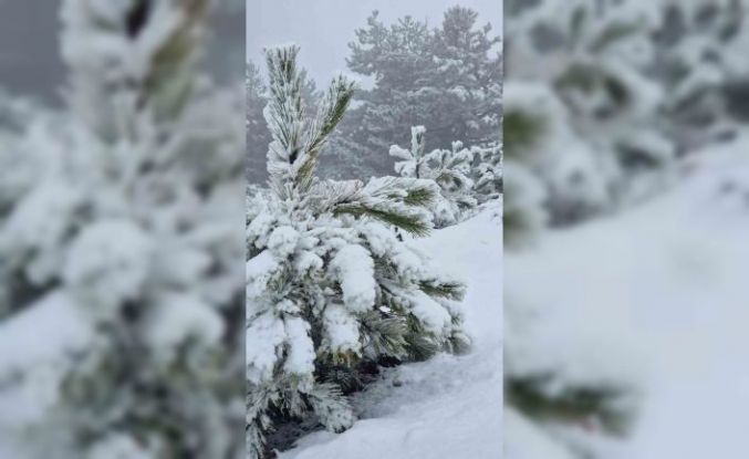 Muğla’ya mevsimin ilk karı yağdı