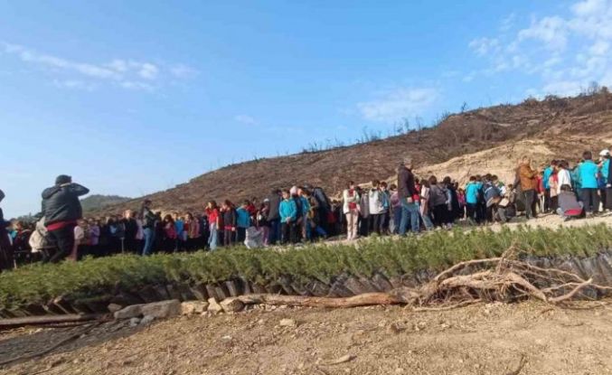 Öğrenciler, orman yangınında zarar gören alana fidan dikti