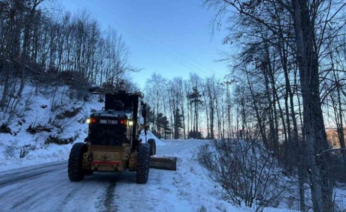 Osmangazi’de kar sonrası buzlanmaya karşı seferberlik