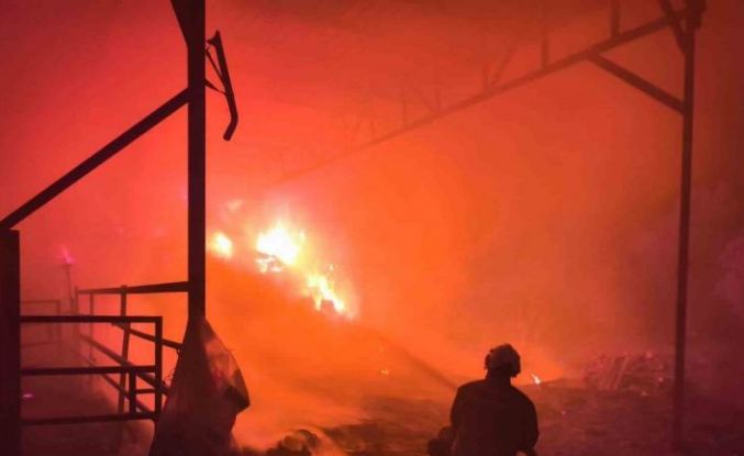 Samanlıktan yükselen alevler, besihaneye ulaşmadan kontrol altına alındı