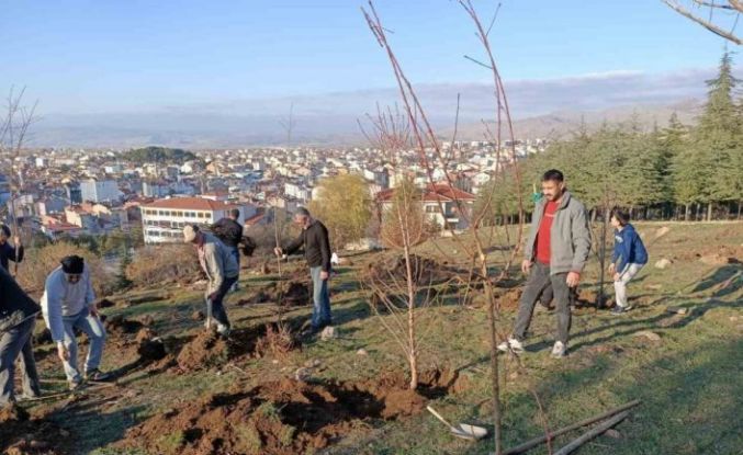 Sandıklılı yarenler badem fidan dikti