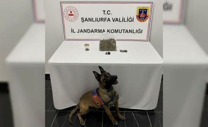 Şanlıurfa’da uyuşturucu operasyonu: 1 gözaltı