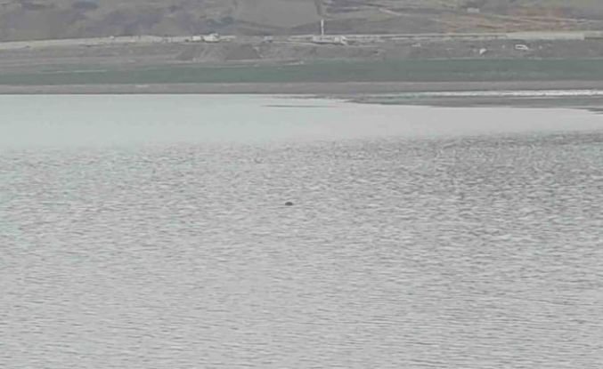 Sıhke Göleti’ne giren inek telef oldu