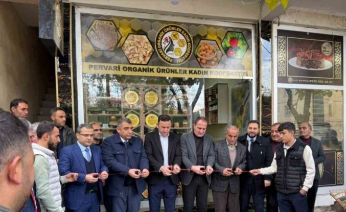 Siirt’te 12 kadın kooperatifleşti