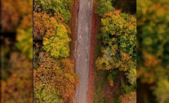 Sinop’ta sonbahar güzelliği