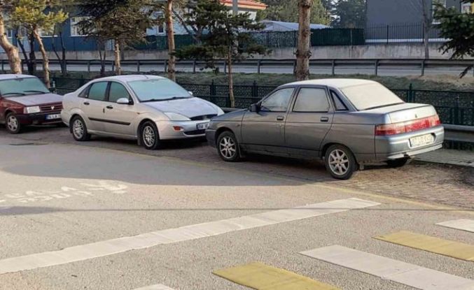 Soğuk hava sebebiyle çimler ve otomobil camları buz tuttu