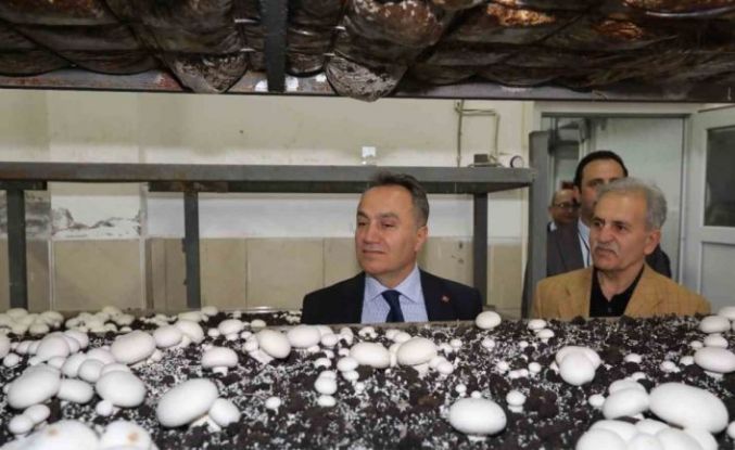 TOGÜ’de üretime dayalı eğitim modelleri güçleniyor