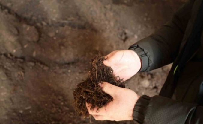 Torf üretimiyle yılda 50 milyon lira tasarruf sağlanıyor