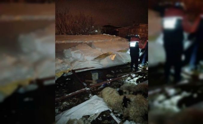 Van’da ahır çöktü, 5 küçükbaş hayvan telef oldu