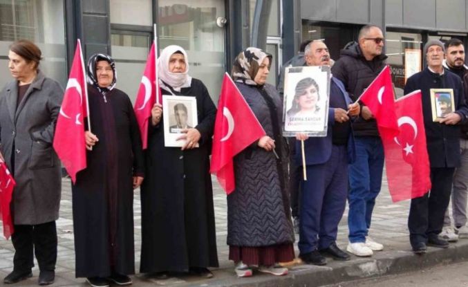 Vanlı annelerin evlat nöbeti 114’üncü haftasında