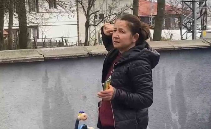 Ağaçta mahsur kalan kedi bir haftadır kurtarılmayı bekliyor