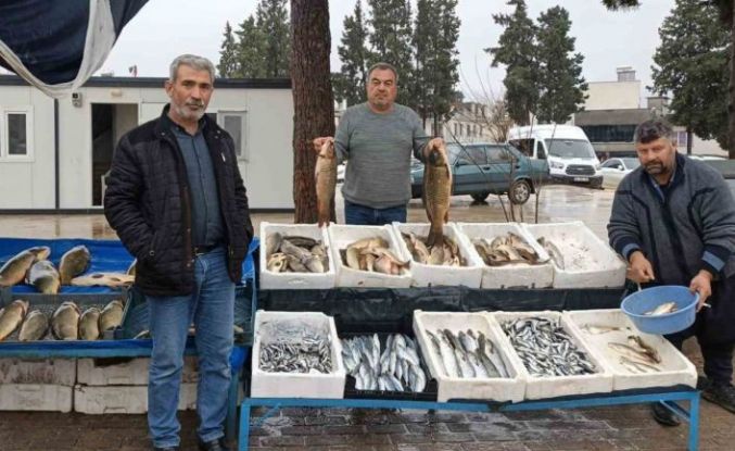 Araban’da soğuk hava balığa talebi artırdı