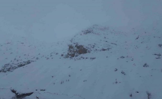 Batman’da ağıla çığ düştü: 45 küçükbaş hayvan telef oldu