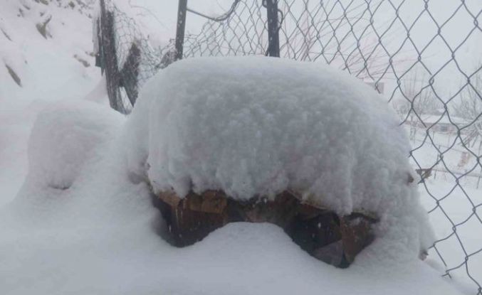 Batman’da son 20 yılın en sert kışında ekiplerin çalışmaları sürüyor