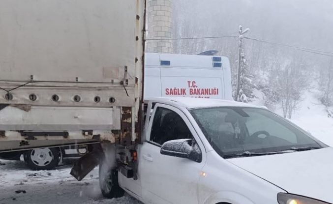 Bingöl’de trafik kazası: 1 yaralı